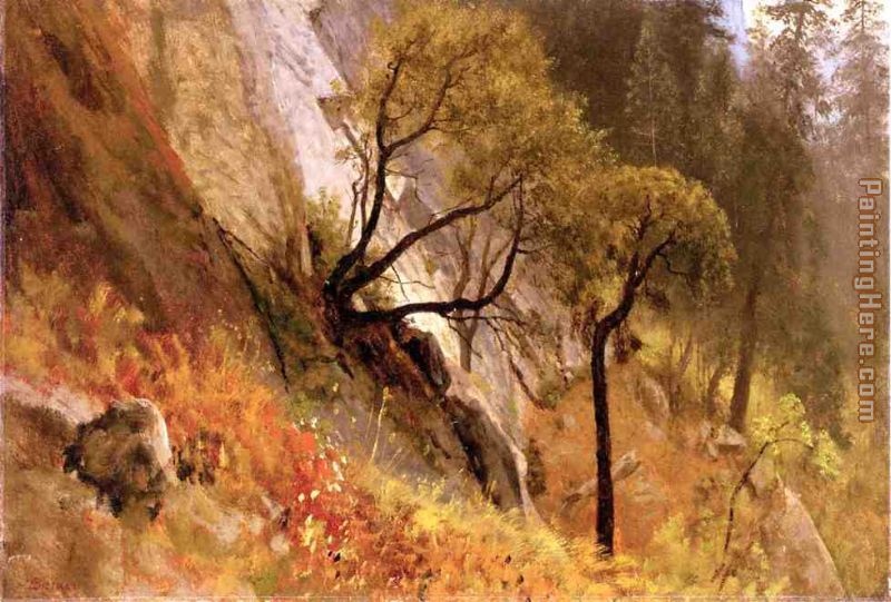 Landscape Study, Yosemite, California painting - Albert Bierstadt Landscape Study, Yosemite, California art painting